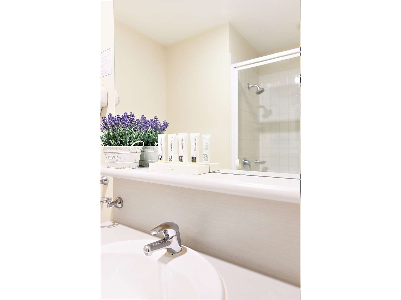 Actual Photos of a 1 King Bed |Single bed| Wifi Arrow On Swanston 376-Arrow-On-Swanston-Pty-Ltd-accomodation-217