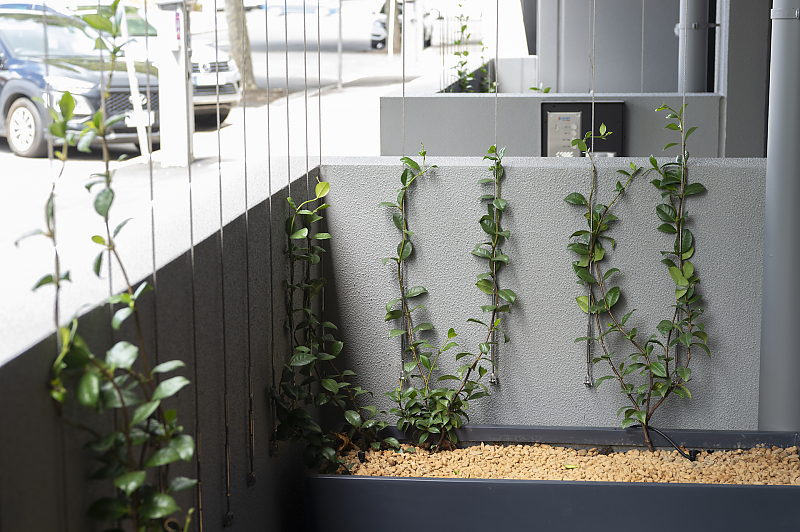 Actual Photos of a Bellerine Dog Friendly R Hotel Geelong 434-R-Hotel-Geelong-accomodation-Geelong