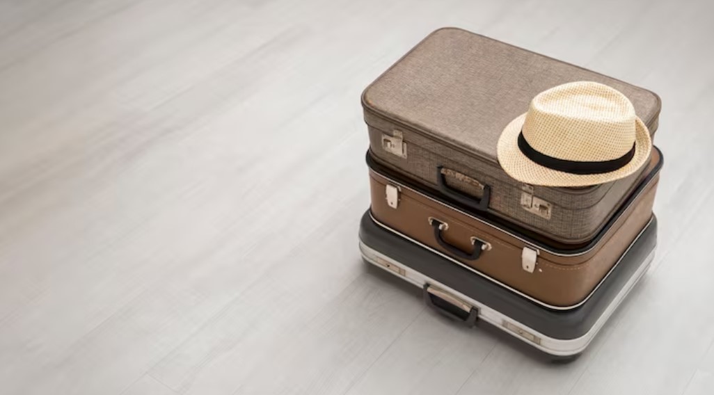 traveller