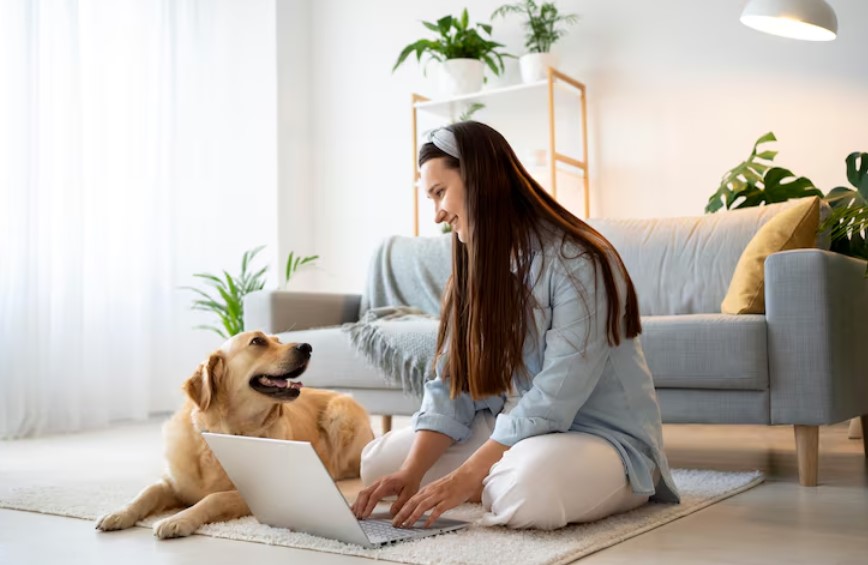 dog in apartment