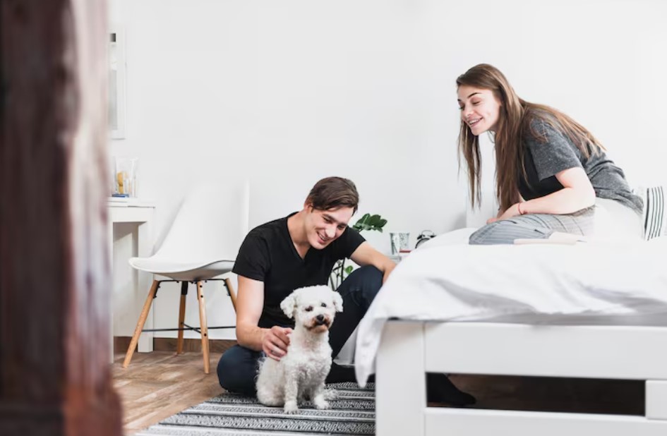 Young man and woman looking at their dog in bedroom