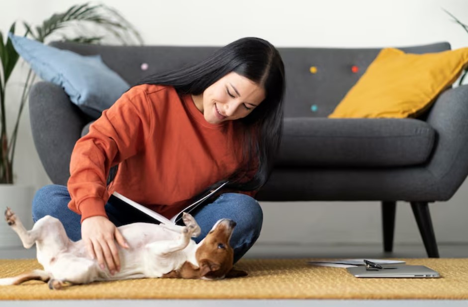 Pet lifestyle together with owner