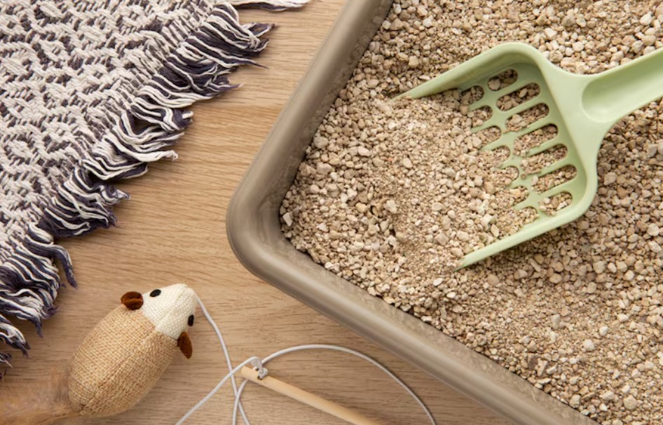 litter box and cat accessories