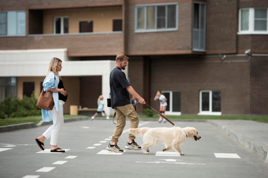 Couple walking dog full shot