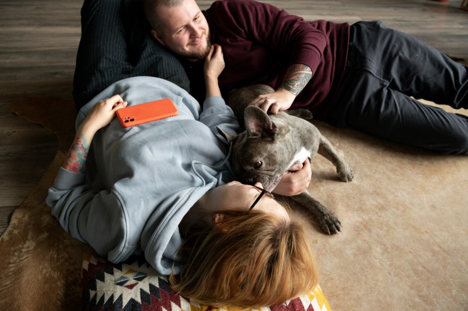 Dog lifestyle and care with owner