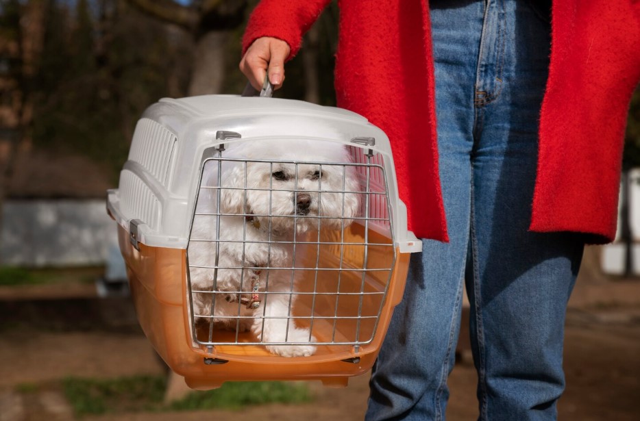 Front view owner with pet carrier