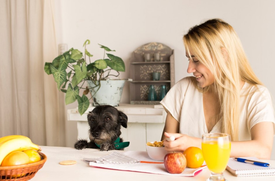  Girl having healthy breakfast with dog