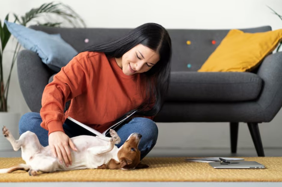 Pet lifestyle together with owner