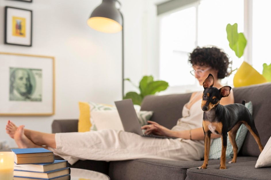 Person working from home with pet dog