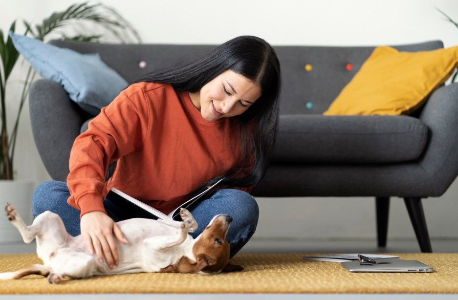 Pet lifestyle together with owner