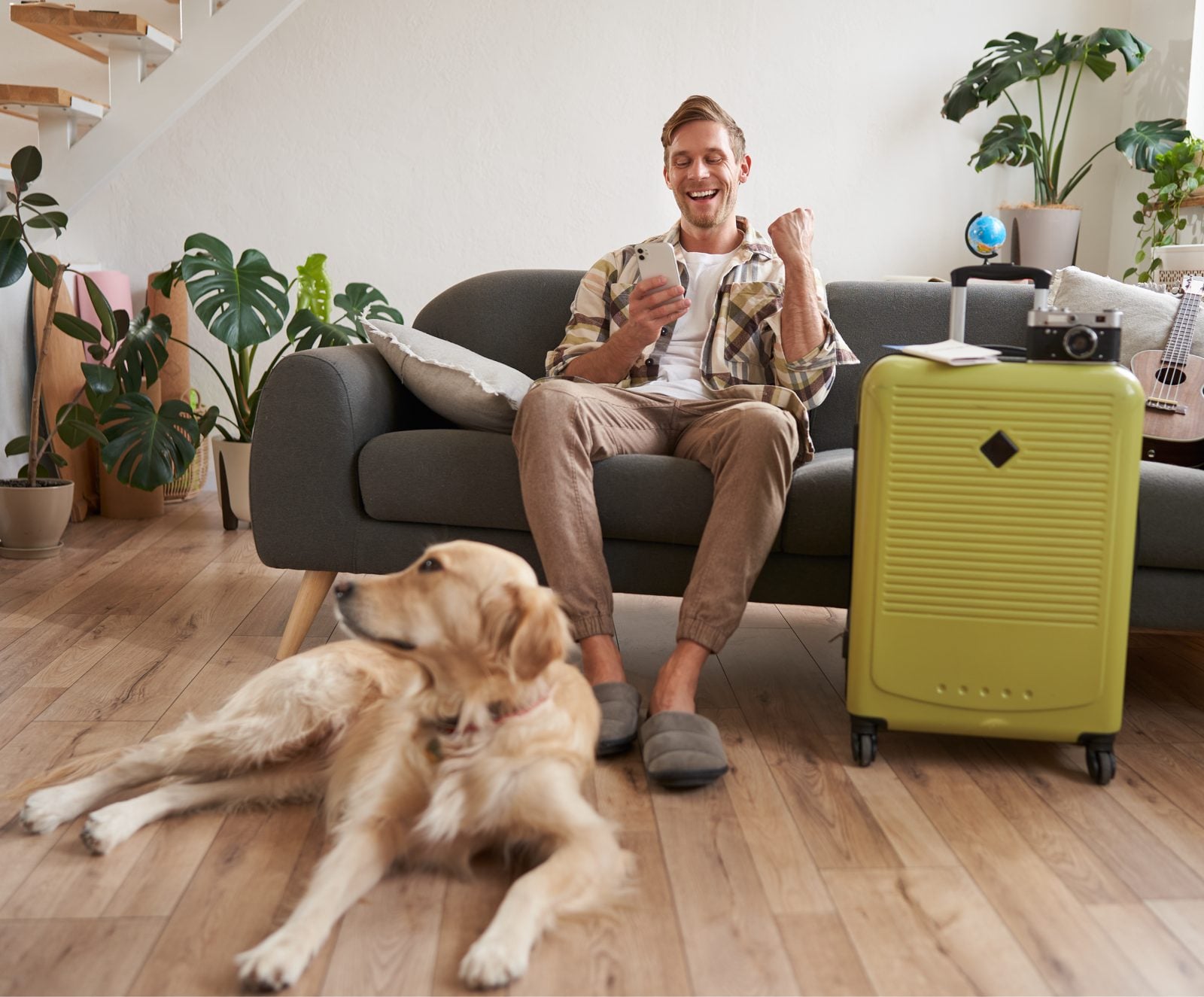 pet in the apartment