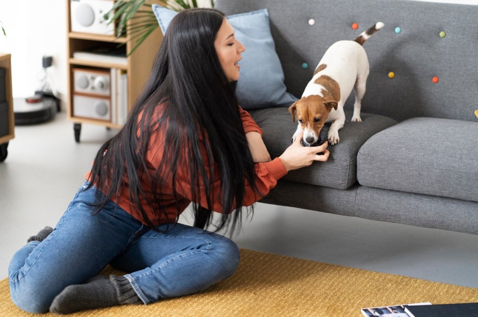 Pet lifestyle together with owner