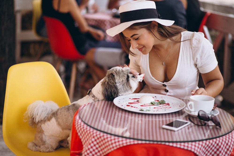 Young lady in bar with cute dog having lunch