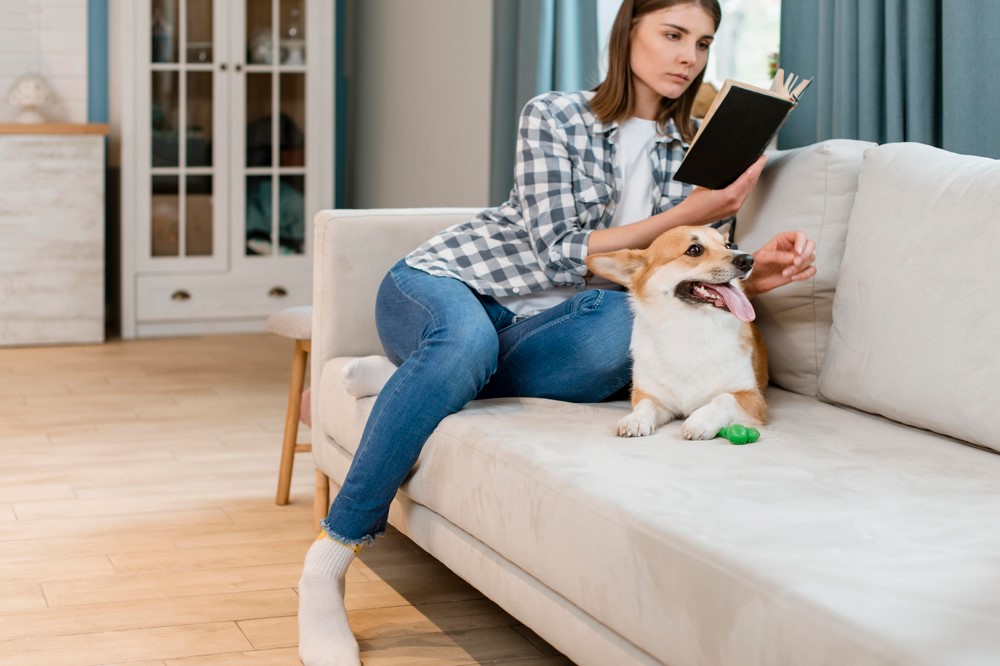 Dog and female owner reading a book on couch