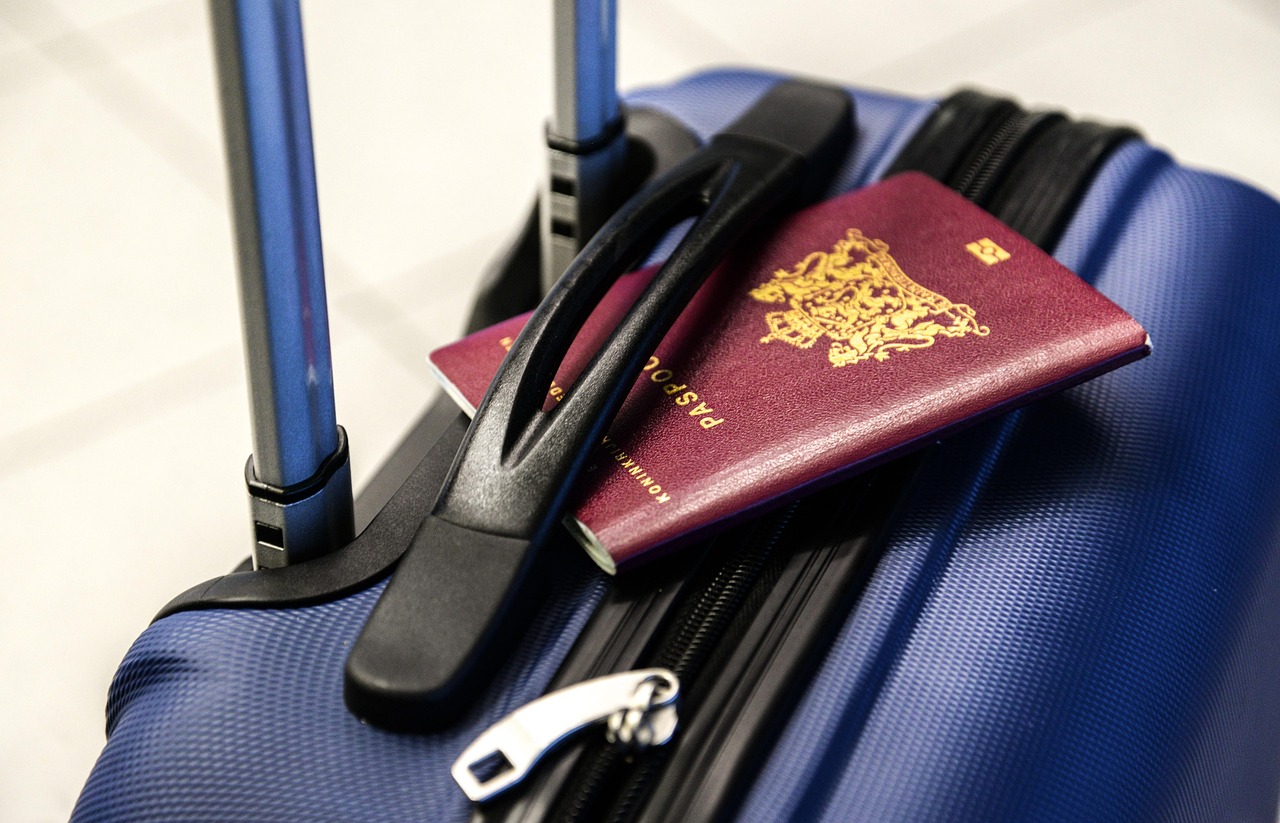 traveller luggage