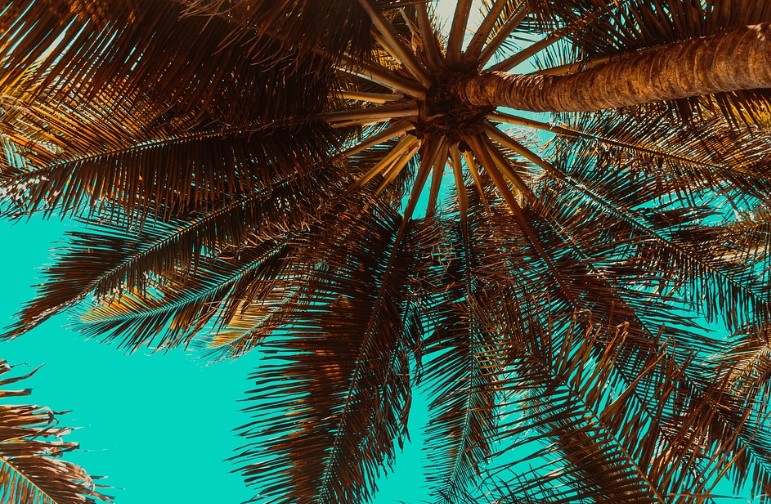 Mildura as Tropical North Victoria