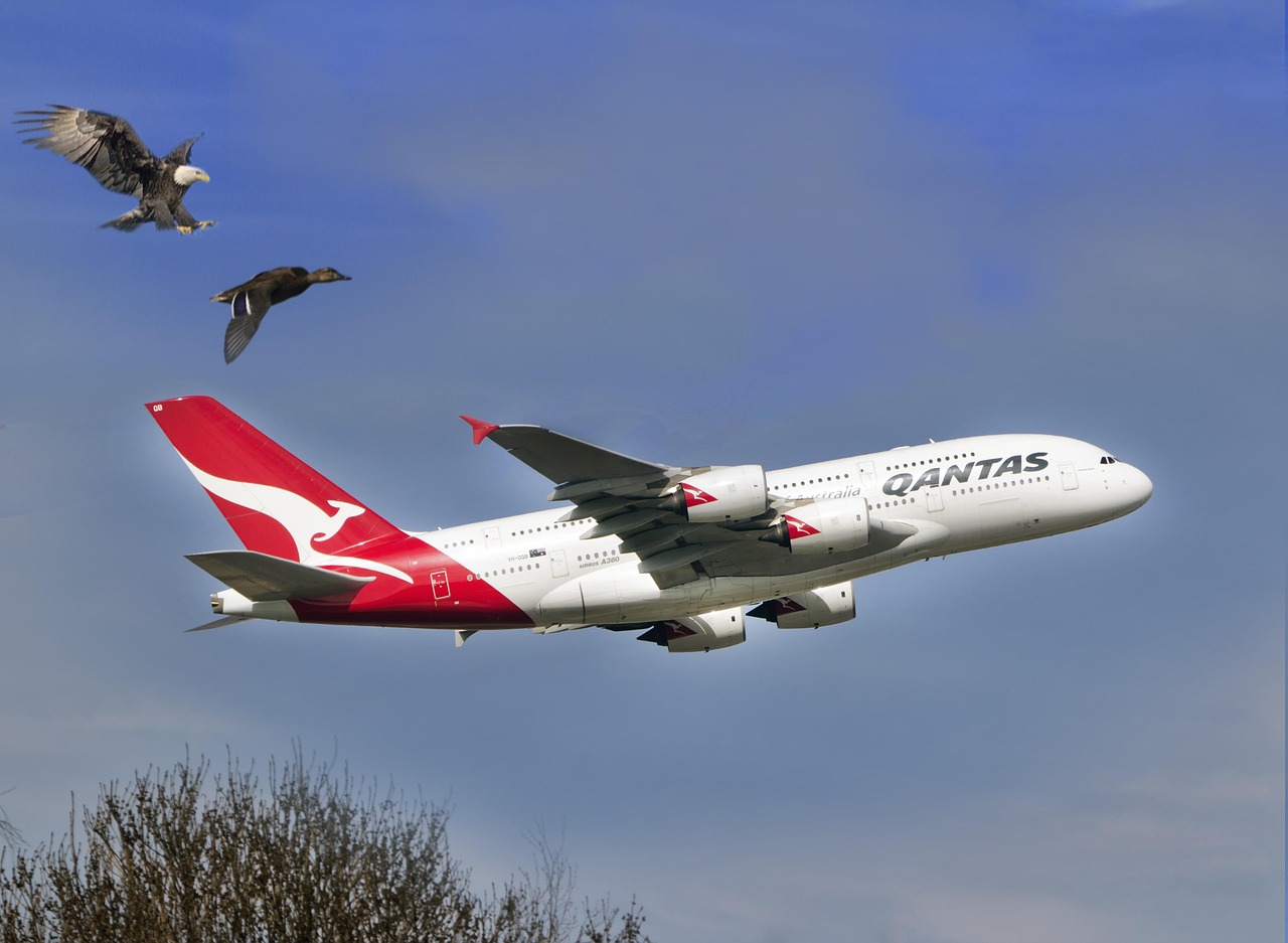 Qantas Flights Between Australia and South Africa