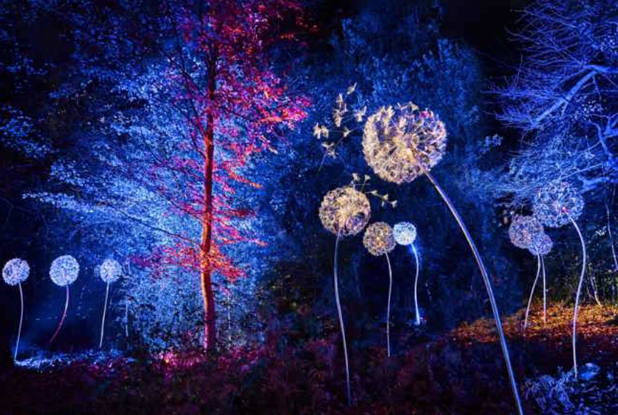 lightscape